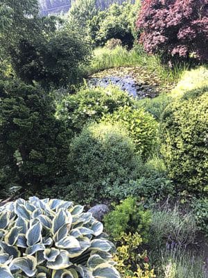 Ronny Goertner: Meine Architektur 05