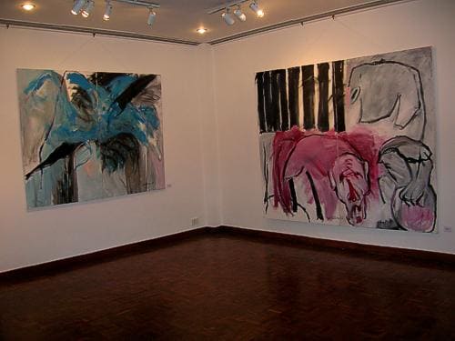 Ronny Goertner: Ausstellung in Delhi 13