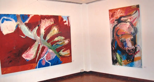 Ronny Goertner: Ausstellung in Delhi 01